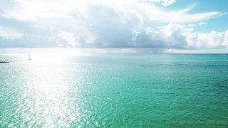 Горячий экшен на острове: дикий секс в тропиках