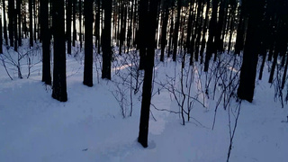 005 First Time PUBLIC Blowjob in Winter_Laruna_Mave_1080p.mp4