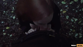 Коктейль страсти: горячий минет в парке после дерзкого соблазнения