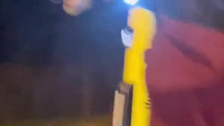 Экстрим-минет на колесах: сочные утехи среди деревьев